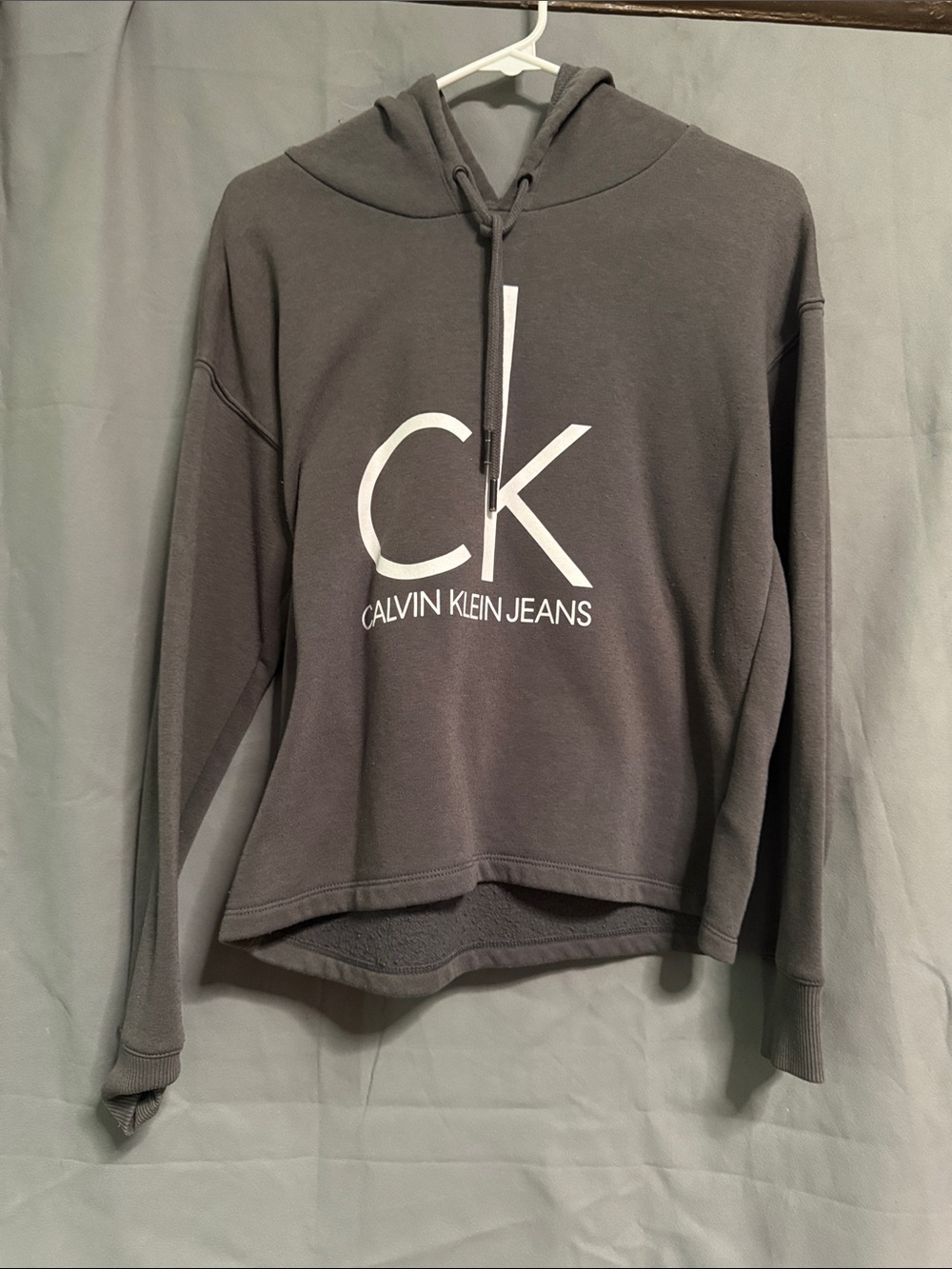 Calvin Klein Jeans Women's Gray Logo Hoodie Sweater